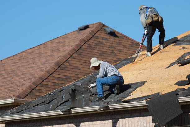Best Sheet Metal Roofing  in Dove Valley, CO