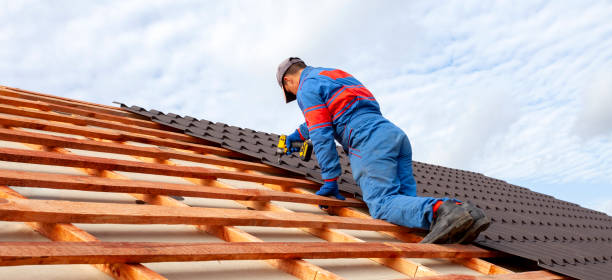 Best Gutter Installation and Repair  in Dove Valley, CO