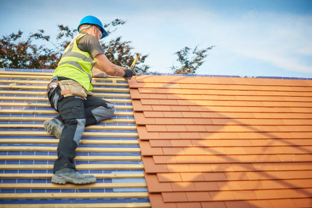 Best Skylight Installation and Repair  in Dove Valley, CO